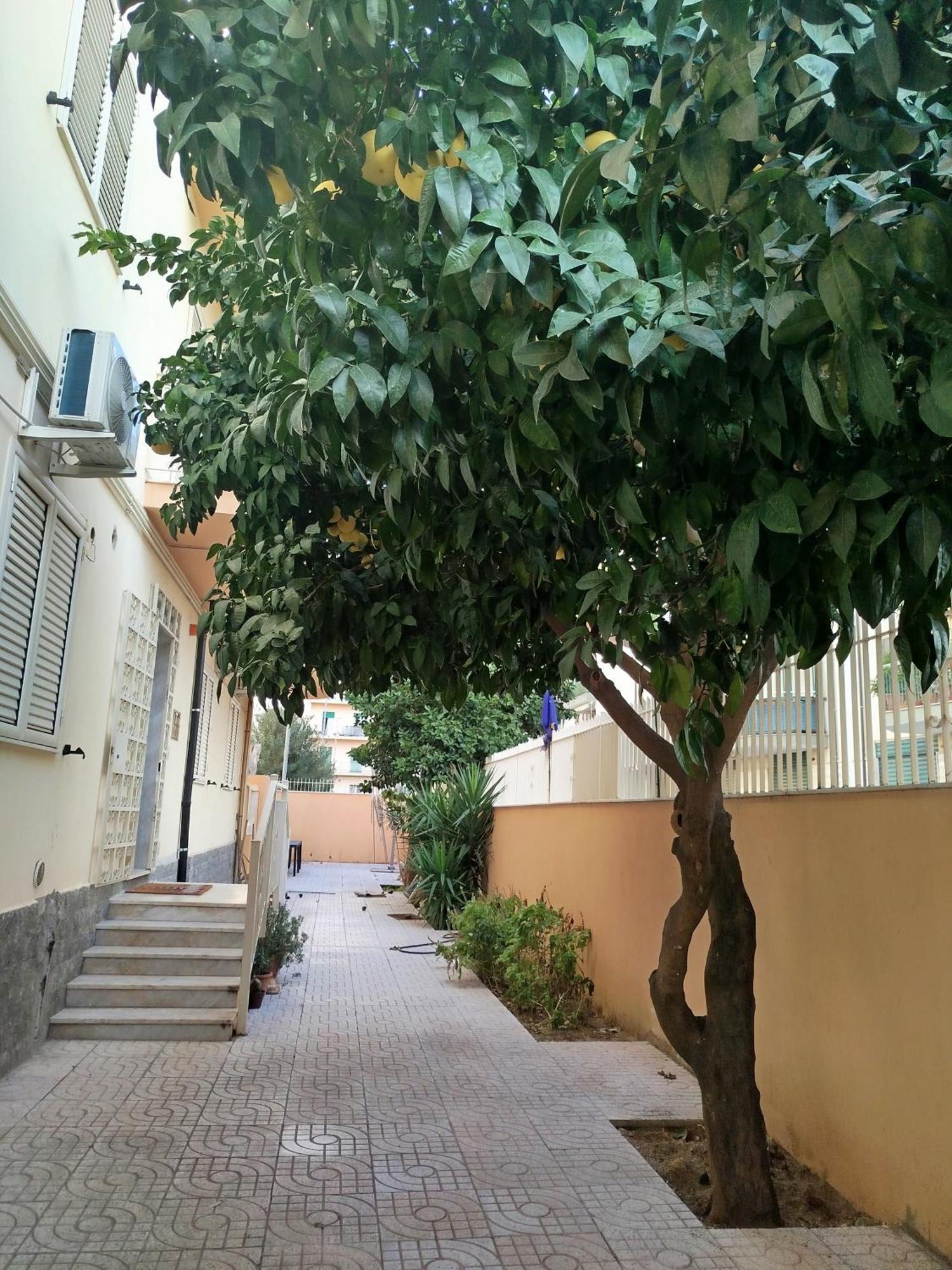 B&B Confort Reggio di Calabria Exterior foto